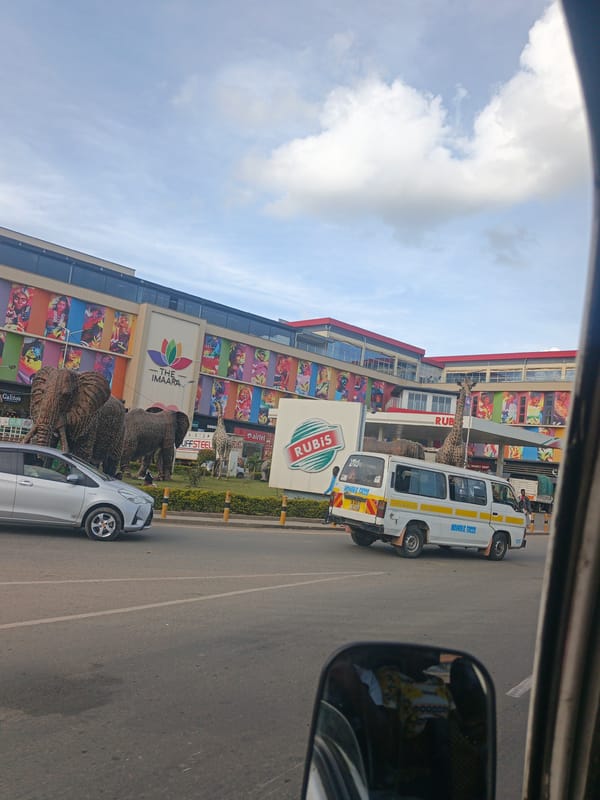 Wire animal sculptures displayed outside Nairobi shopping mall