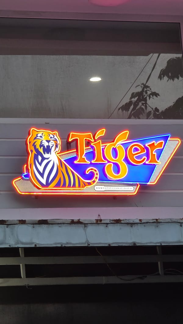 Neon signs and colorful lanterns illuminate Nha Trang streets