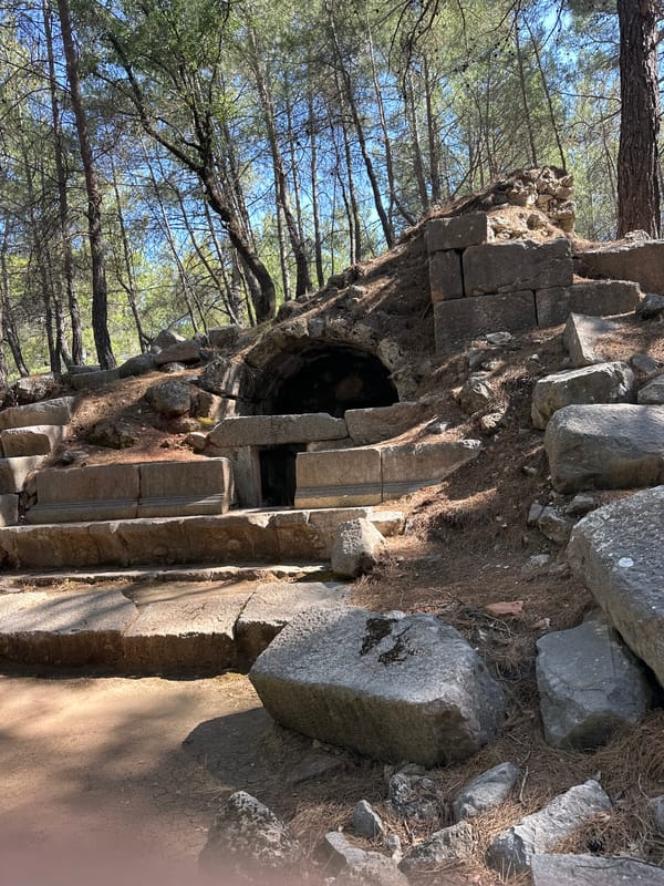 Exploring ancient stone ruins in Fethiye's pine forests