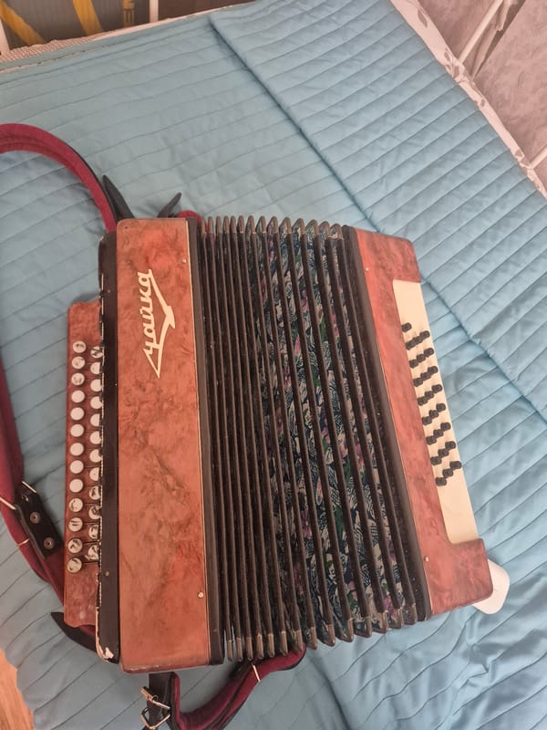 Soviet Chayka accordions up close in Lyubertsy
