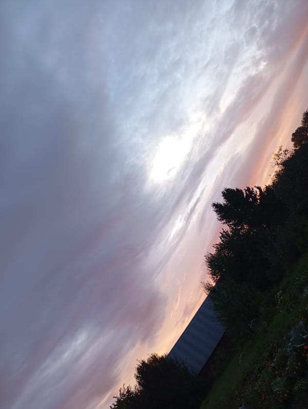 Post-rain garden and sunset skies in rural Фоки