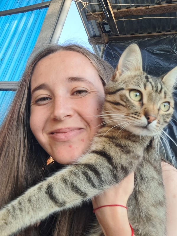 Afternoon hang in Vypasne — cats, flowers, selfies