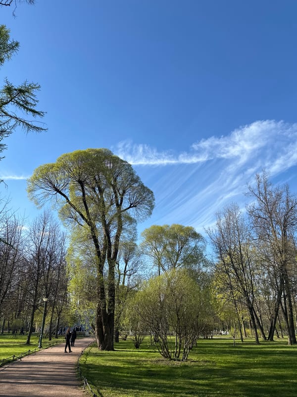 Spring afternoon brings varied activities to city park