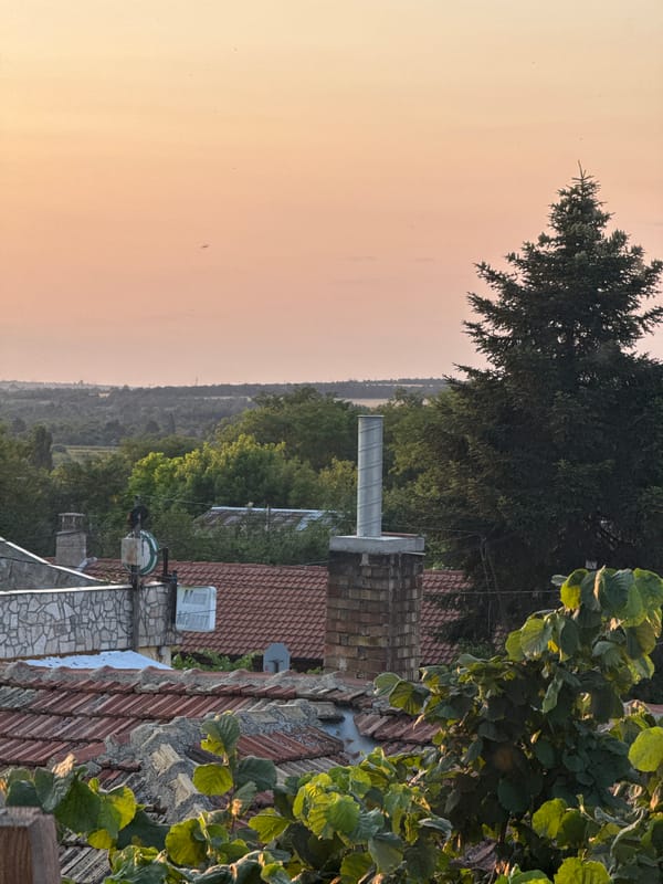 Summer evening in rural Dobrich: rooftops and ripe cherries