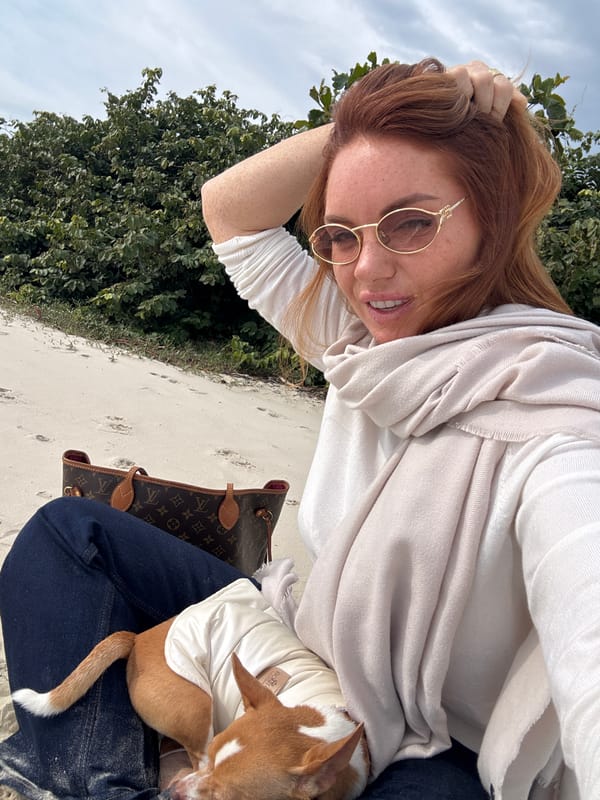 Beach day in Florianópolis: coffee, macarons, and a chihuahua