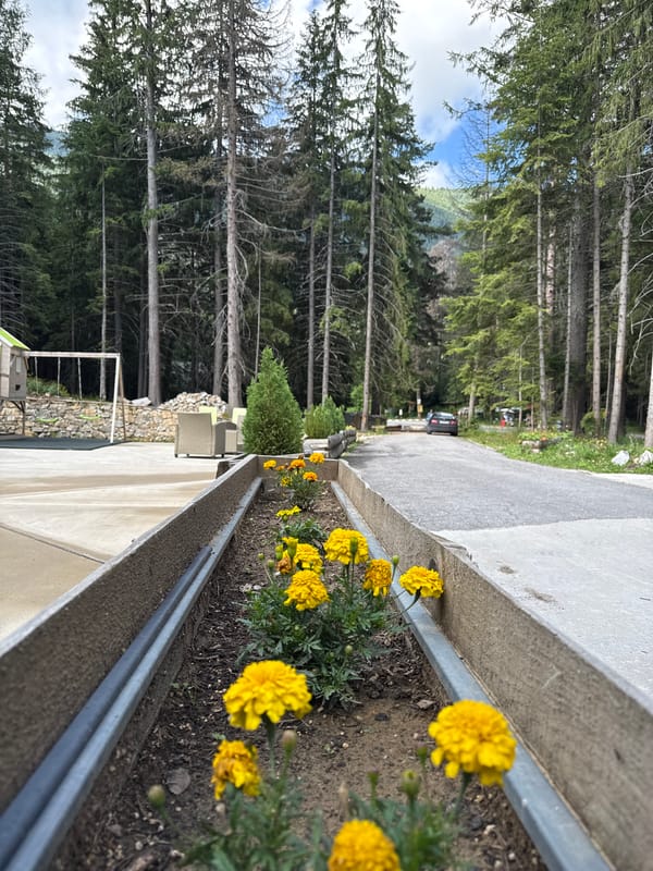 Glass-enclosed pool and forest paths at a Panichishte resort