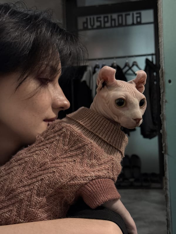 Person plays with dressed Sphynx cat in Moscow