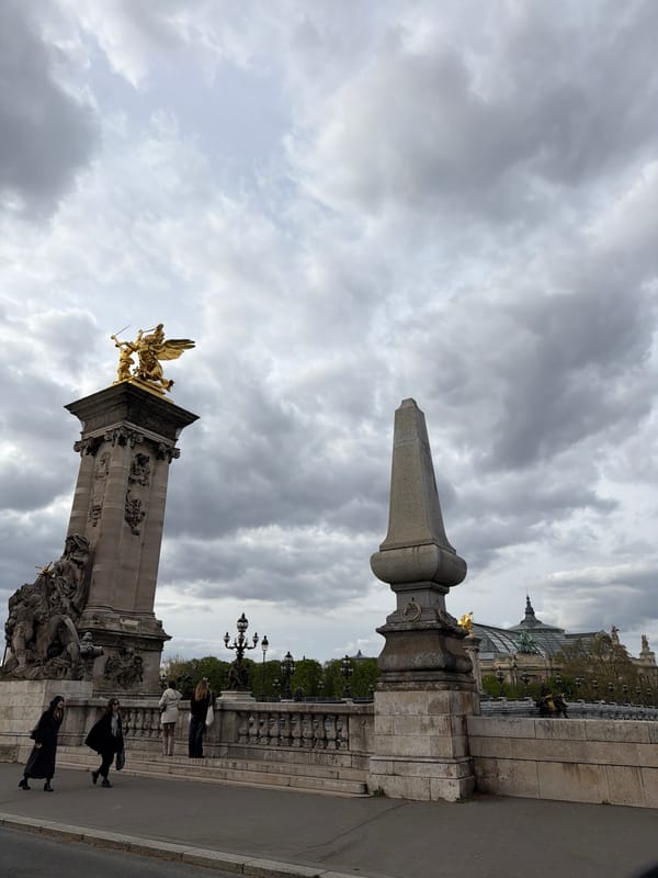Paris landmarks Pont Alexandre III and Eiffel Tower spotted