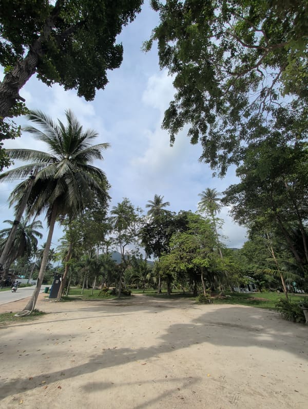 Tropical street scenes documented around Ko Pha-ngan, Thailand