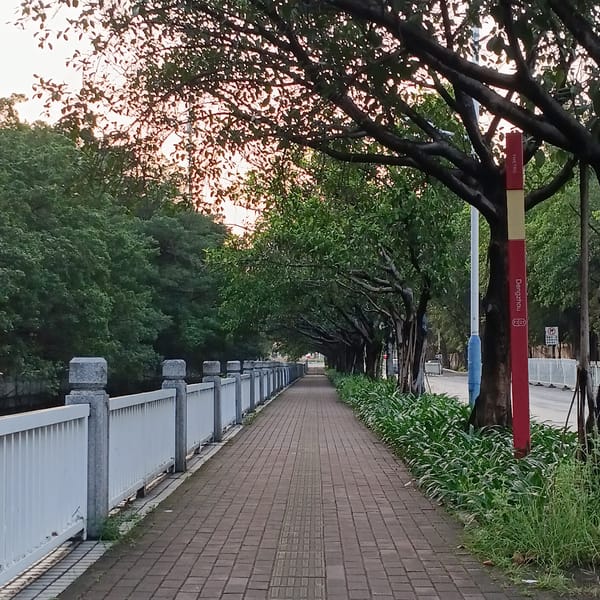 Sunset illuminates tree-lined streets across Shunde District
