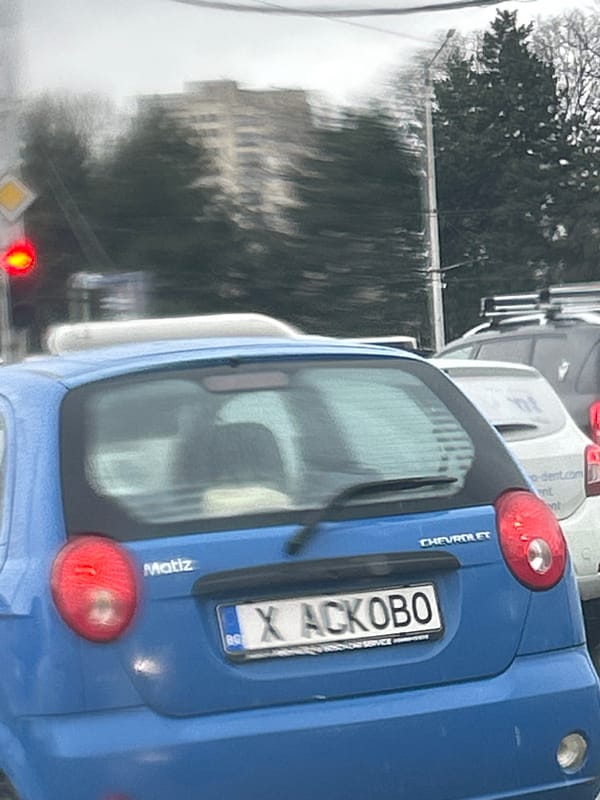 Sofia morning scenes: city traffic and mandarin ducks spotted