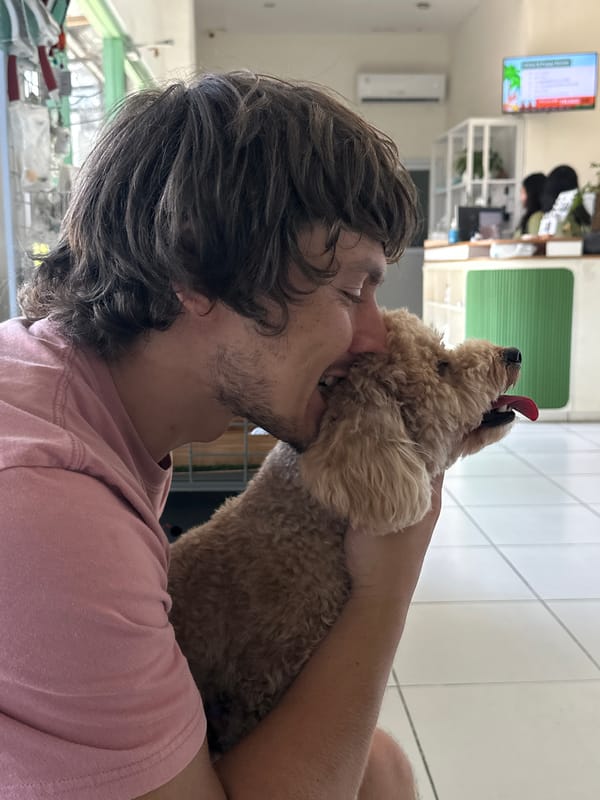 Man kisses golden doodle dog indoors in North Kuta