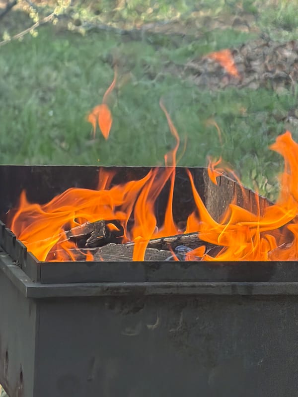 Family barbecue gathering documented in Meget, Russia backyard