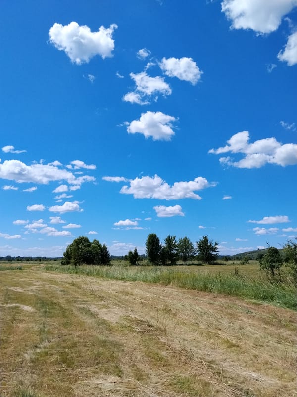 Midsummer harvest fields and open skies in rural Ukraine