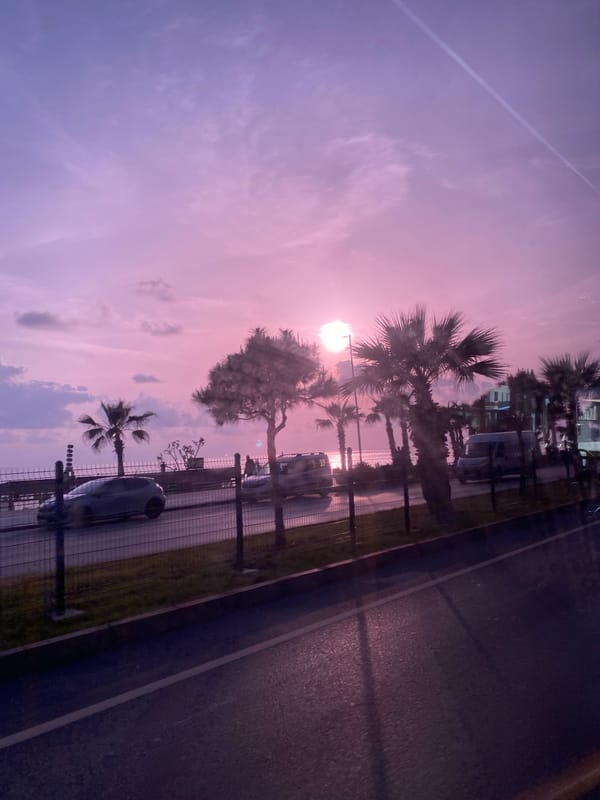 Colorful sunset observed with palm tree in Alanya, Turkey