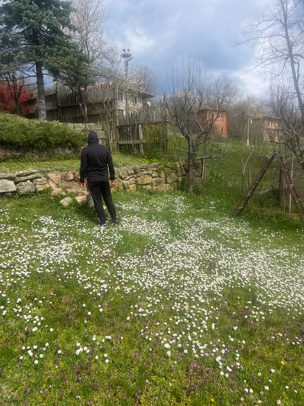 Person spotted in daisy field in rural Zaichari, Bulgaria