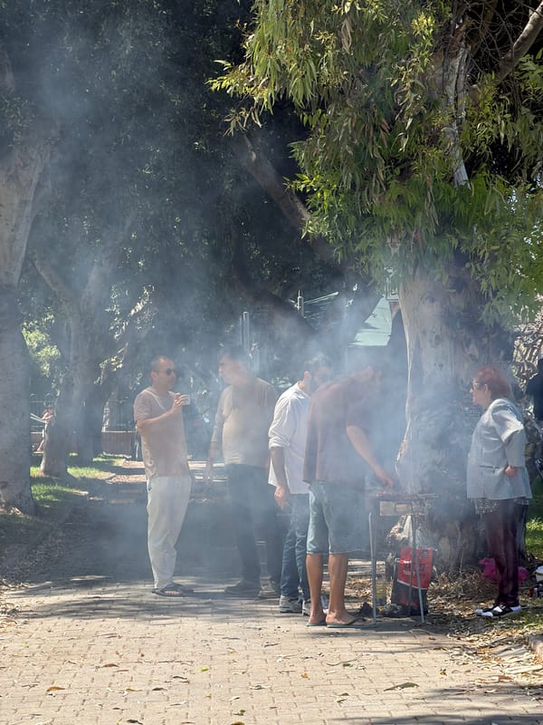 Tel Aviv residents hold community barbecue celebration in park