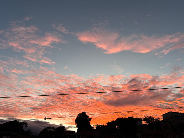 Sunset documented over Carrizal, Venezuela with cat and buildings