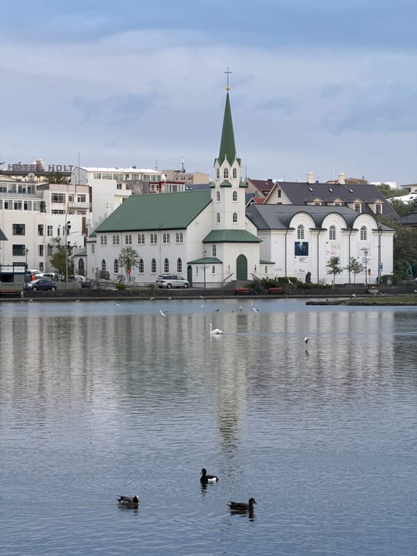 Evening scenes documented around Tjörnin lake in central Reykjavik