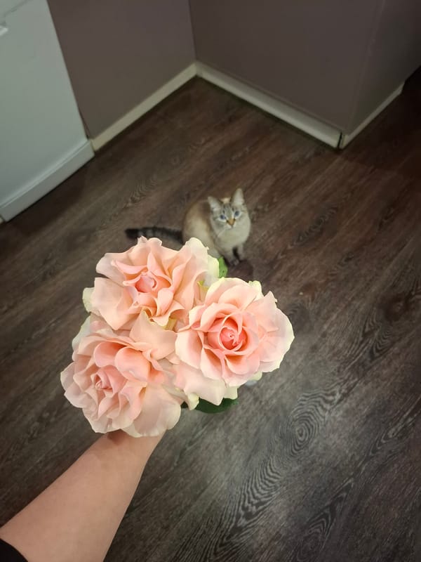 Person holds pink rose bouquet indoors in Irkutsk