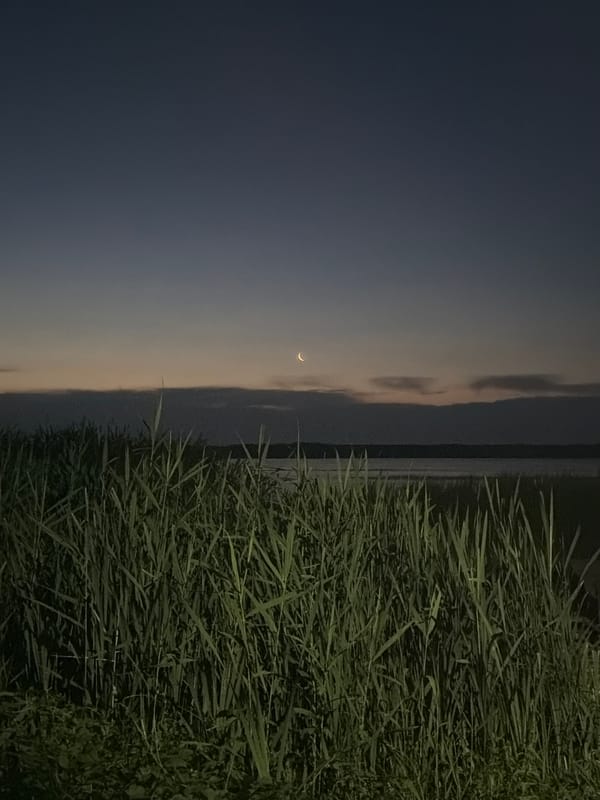 Nighttime camping scene with crescent moon, campfire, fishing gear documented