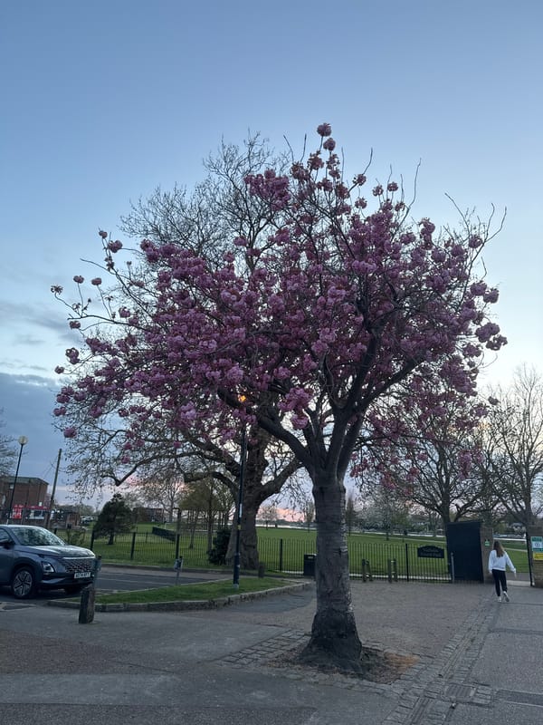 Evening stroll captured along East Suffolk waterfront parks and docks