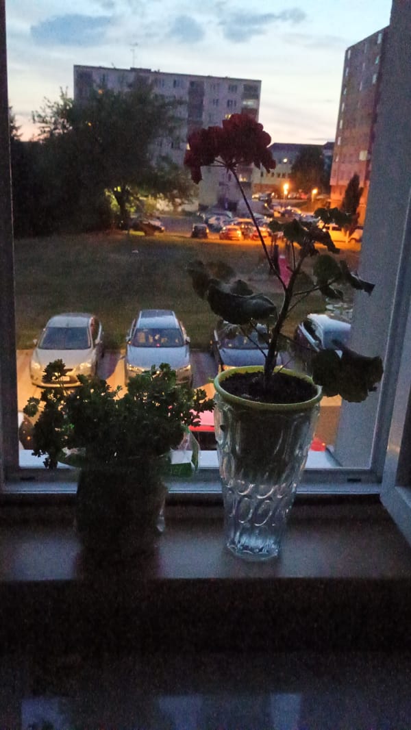 Dusk from the balcony: Sokolov residential windows and streets below