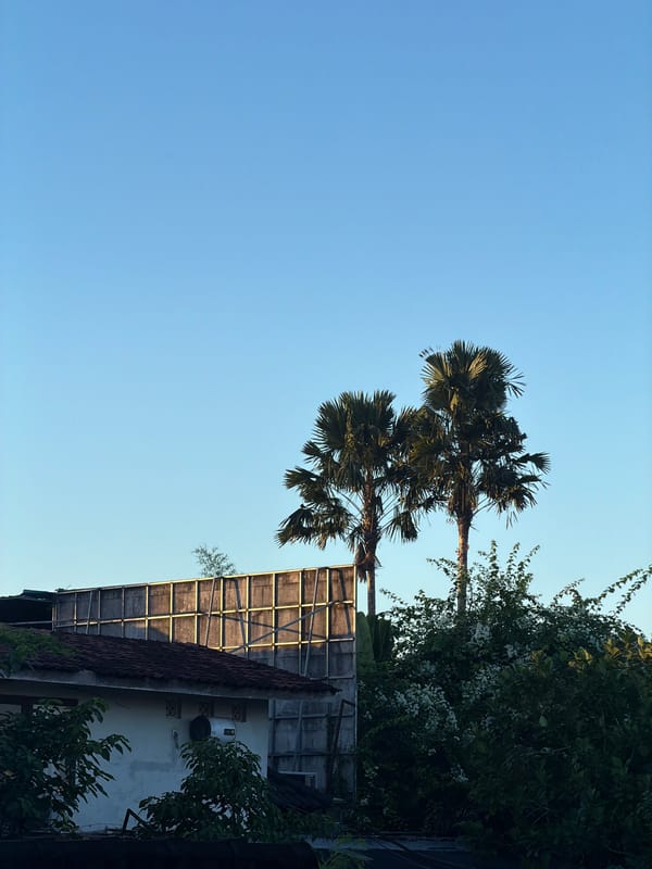 Casual tropical moments documented in North Kuta, Indonesia