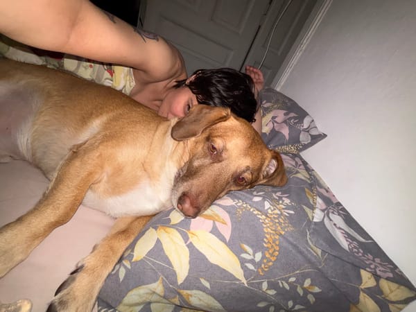 Morning moments between person and dog captured in Sofia