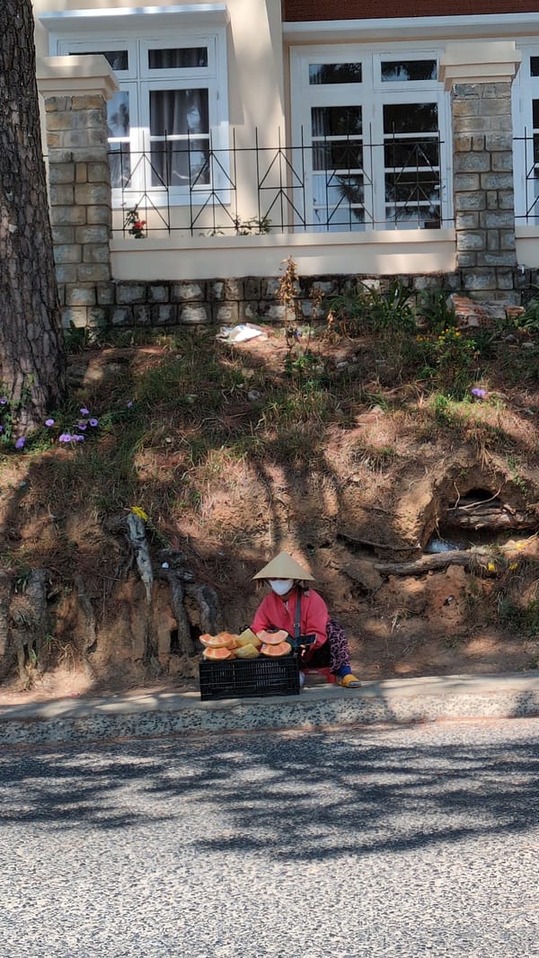 Early morning fruit vendor spotted in Da Lat
