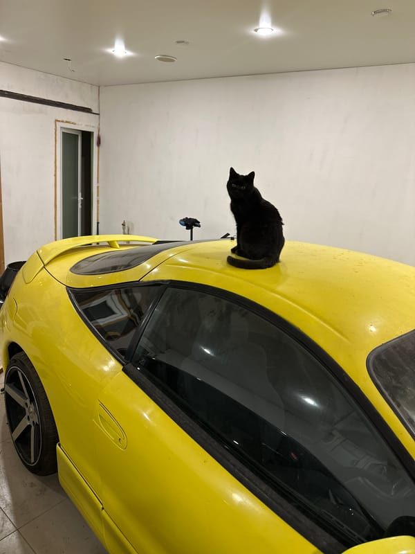 Black cat rests on yellow sports car in Kursk garage