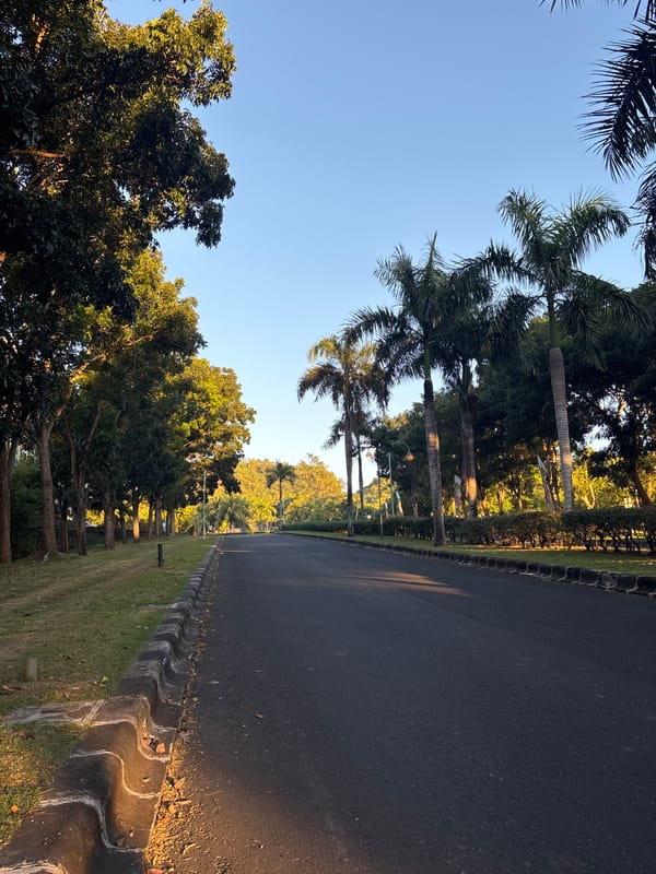 Palm-lined road documented in Kuta Selatan, Indonesia