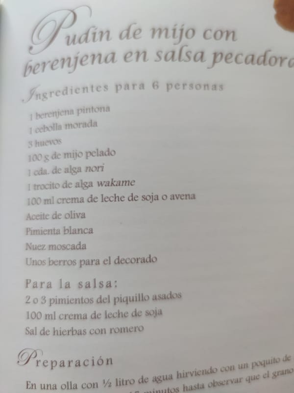 Someone photographs Spanish vegetarian cookbook pages for fifteen minutes