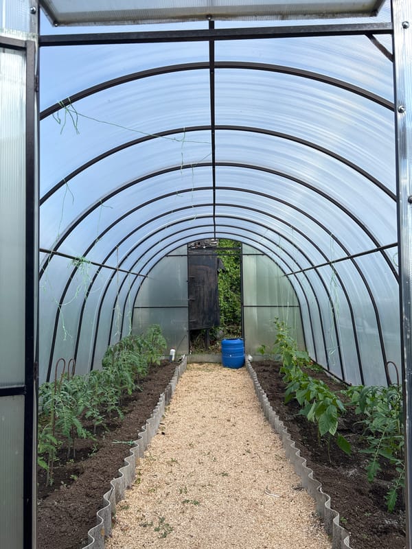 Casual greenhouse visit documented in Chaikovsky, Russia