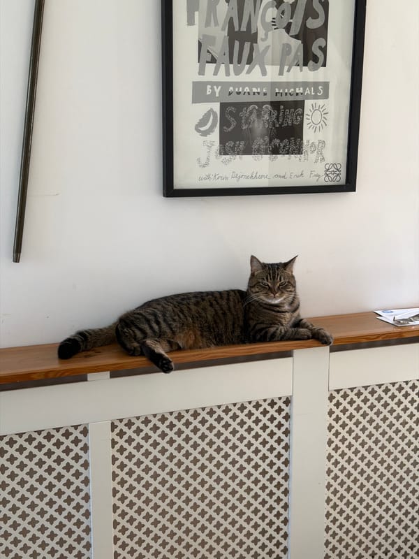 Cat climbs door as vegetables prepped in Folkestone home