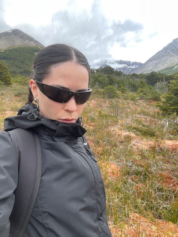 Hiker explores berry-filled landscape near Ushuaia, Argentina
