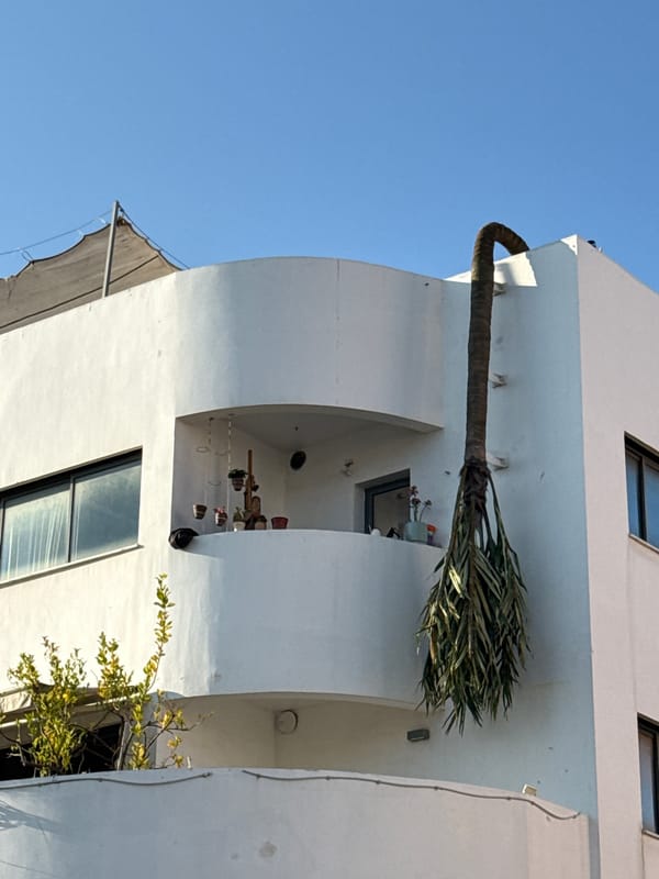 Early Morning Domestic Scenes Documented Across Tel Aviv