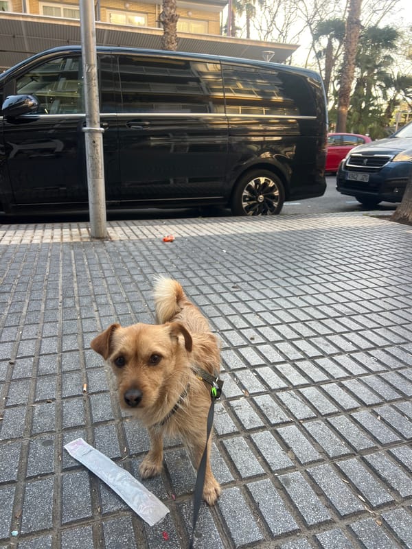 Everyday street life captured in Salou, Spain