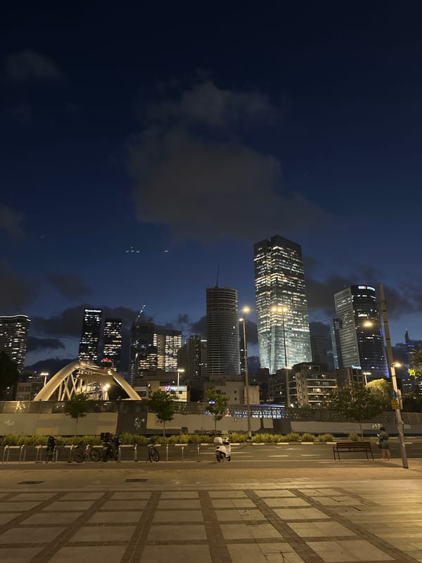 Dusk in Tel Aviv: city skyline and koi pond