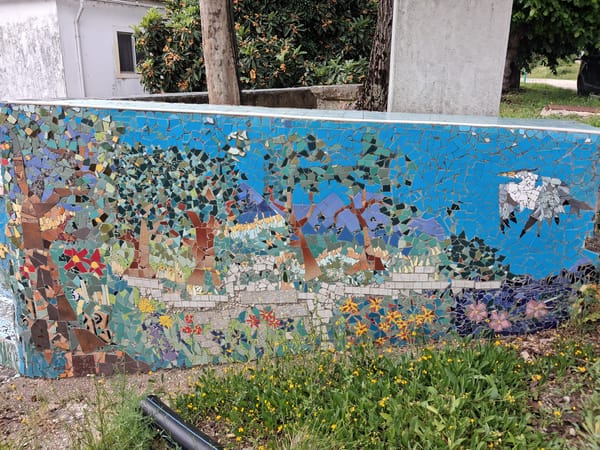 Mosaic artwork documented at Portuguese thermal spa facility