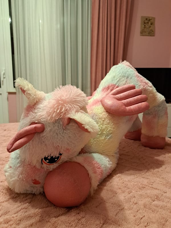 Plush unicorn toy spotted on pink blanket in Bulgaria