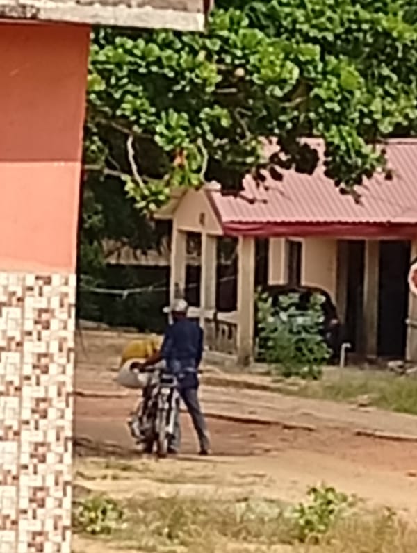 Morning street activity observed on dirt road in residential area