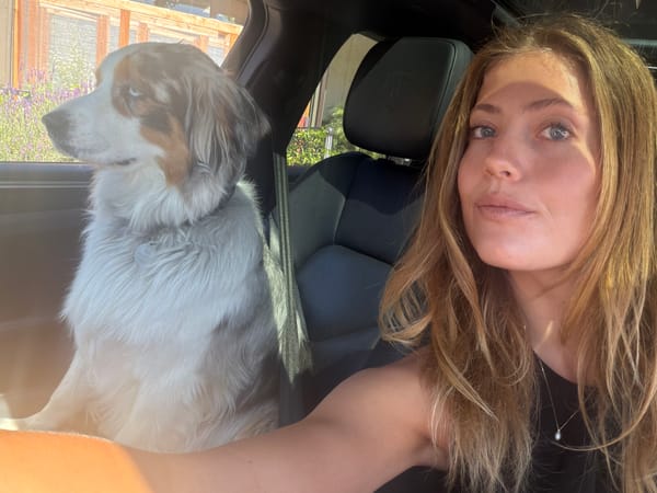 Woman and dog spotted traveling together in Malibu vehicle