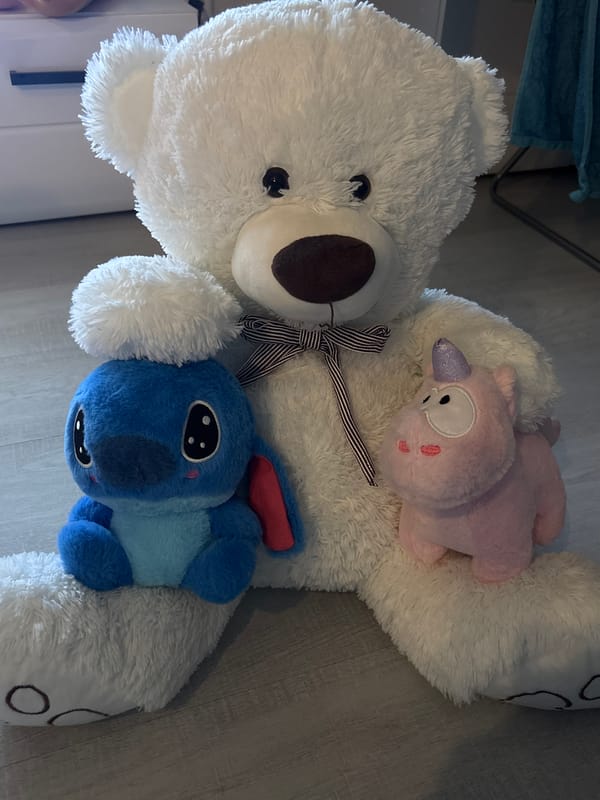 Plush toys arranged in Saint Petersburg home during evening