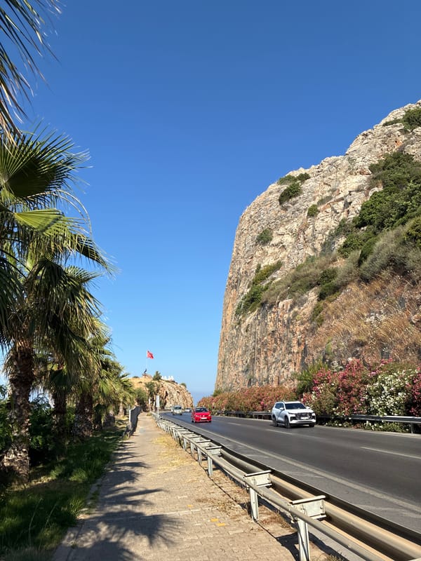 Morning stroll along Alanya's coastline, flora and seaside details