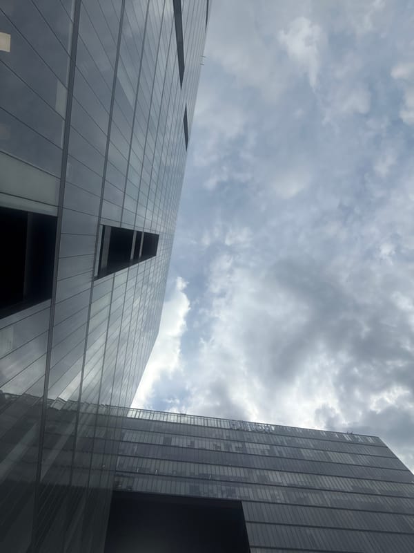 Modern Mexico City skyline and parkland documented by witnesses