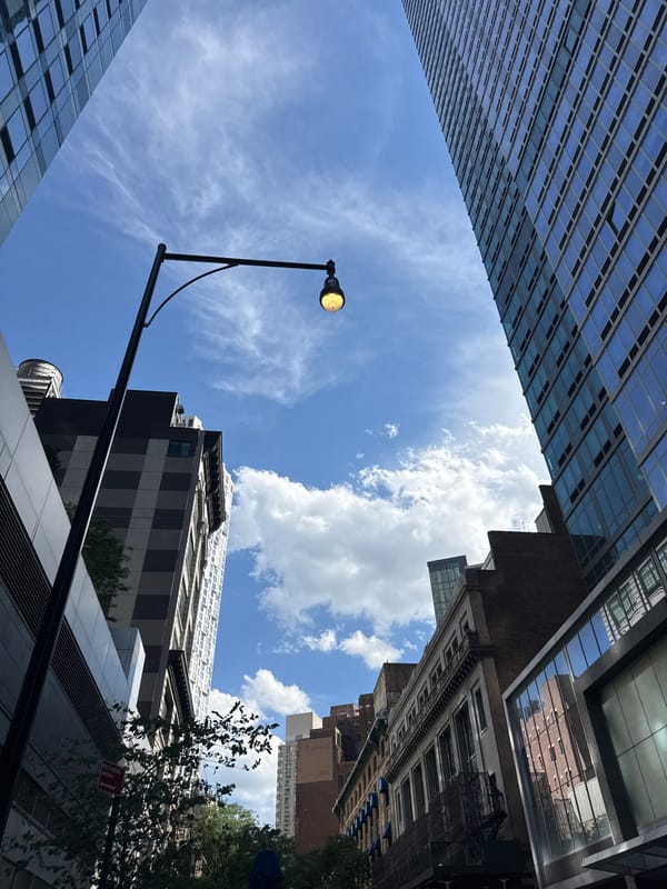 Brooklyn evening: FDNY trucks, skyscraper angles, and a dead bee