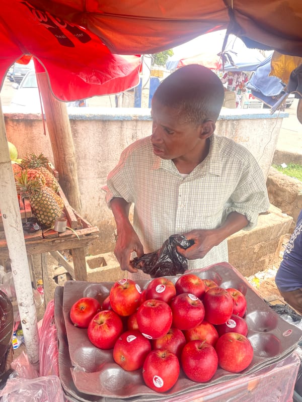 Man inspects bag at apple vendor stall in Jos