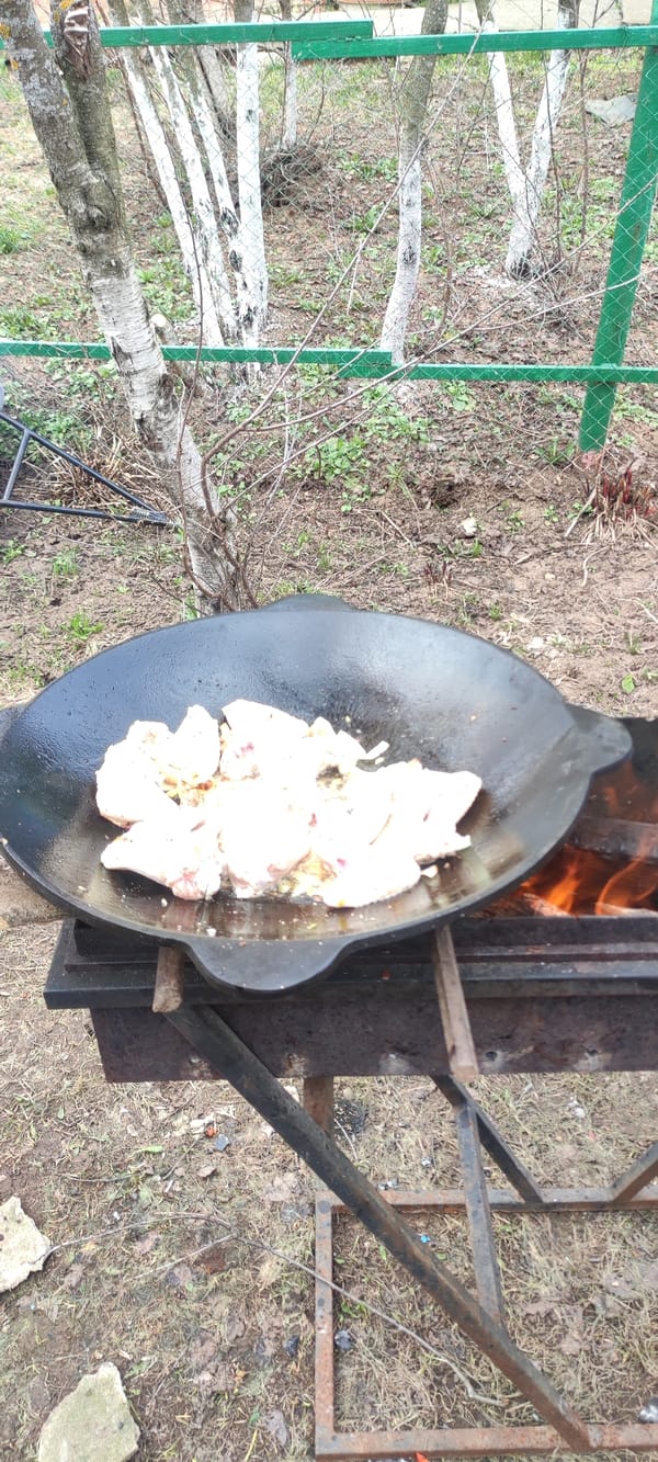 Backyard cooking session documented in Прикамский, Russia