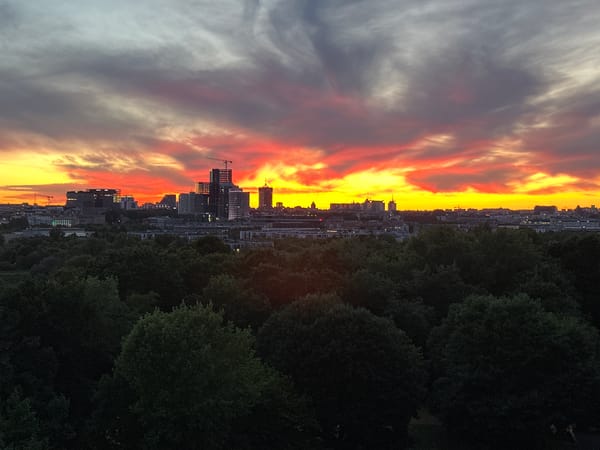 Black cat watches a vivid Poznań sunset from behind safety netting